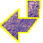 To Home Page